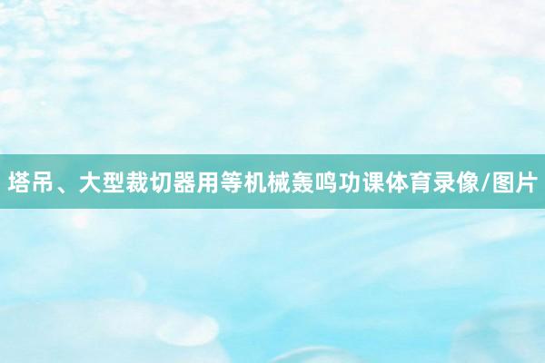 塔吊、大型裁切器用等机械轰鸣功课体育录像/图片