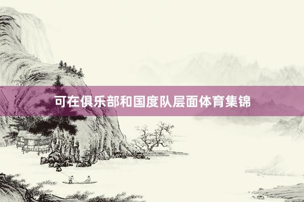 可在俱乐部和国度队层面体育集锦