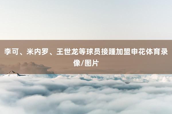 李可、米内罗、王世龙等球员接踵加盟申花体育录像/图片