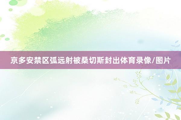 京多安禁区弧远射被桑切斯封出体育录像/图片