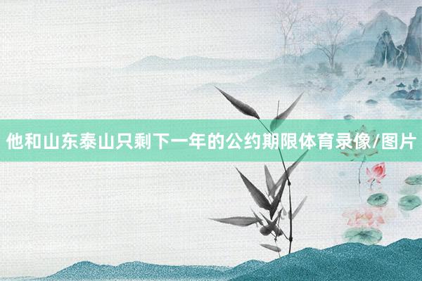 他和山东泰山只剩下一年的公约期限体育录像/图片