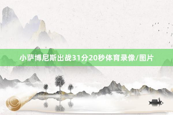 小萨博尼斯出战31分20秒体育录像/图片
