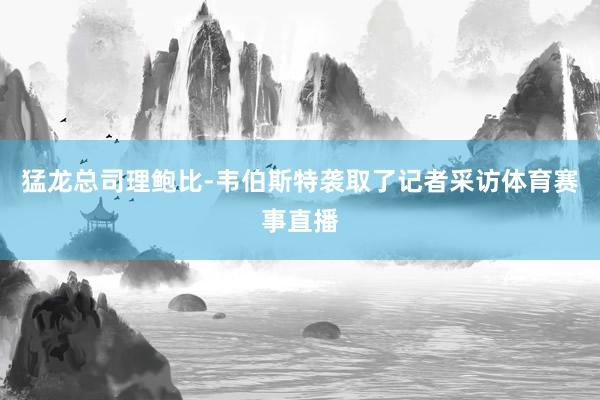 猛龙总司理鲍比-韦伯斯特袭取了记者采访体育赛事直播