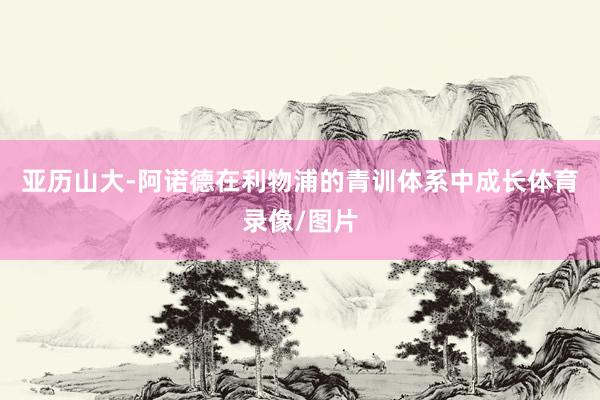 亚历山大-阿诺德在利物浦的青训体系中成长体育录像/图片