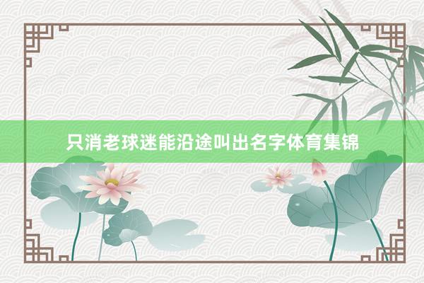 只消老球迷能沿途叫出名字体育集锦