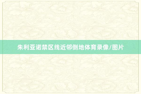 朱利亚诺禁区线近邻倒地体育录像/图片