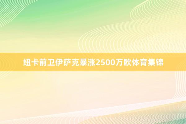 纽卡前卫伊萨克暴涨2500万欧体育集锦
