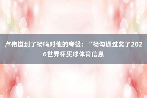 卢伟道到了杨鸣对他的夸赞：“杨勾通过奖了2026世界杯买球体育信息