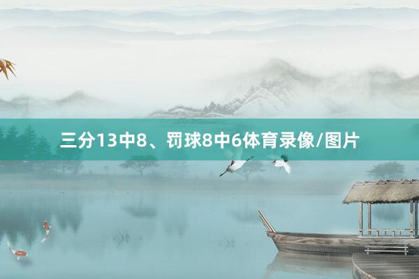 三分13中8、罚球8中6体育录像/图片