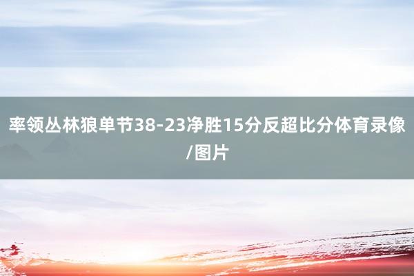 率领丛林狼单节38-23净胜15分反超比分体育录像/图片
