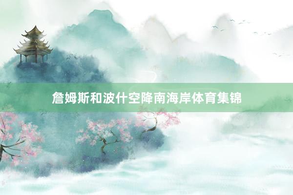 詹姆斯和波什空降南海岸体育集锦