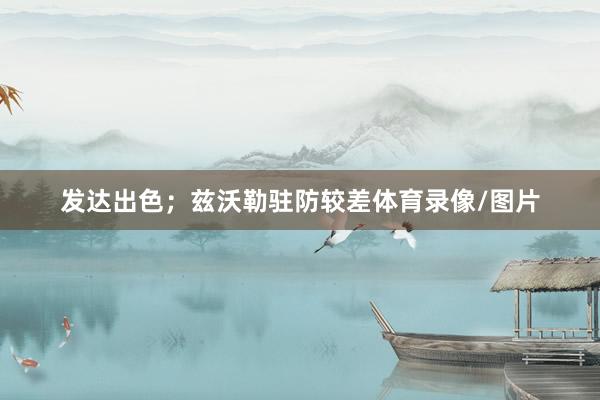 发达出色；兹沃勒驻防较差体育录像/图片