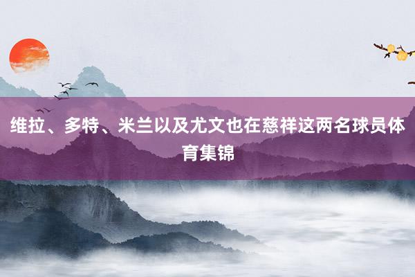 维拉、多特、米兰以及尤文也在慈祥这两名球员体育集锦