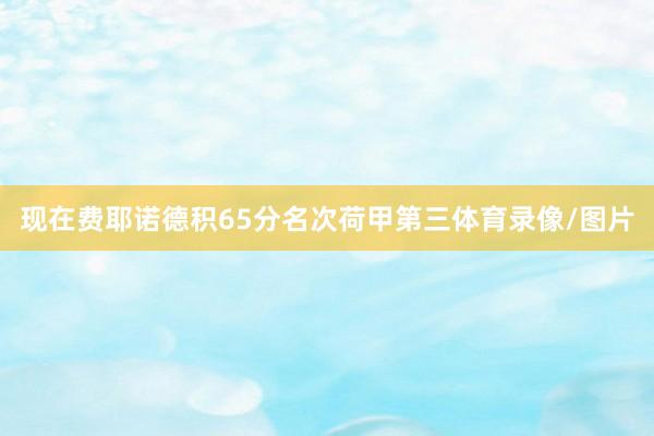 现在费耶诺德积65分名次荷甲第三体育录像/图片