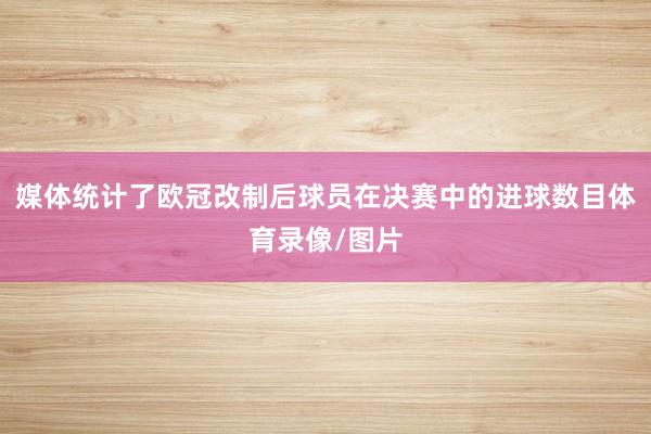 媒体统计了欧冠改制后球员在决赛中的进球数目体育录像/图片