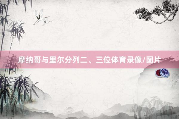 摩纳哥与里尔分列二、三位体育录像/图片