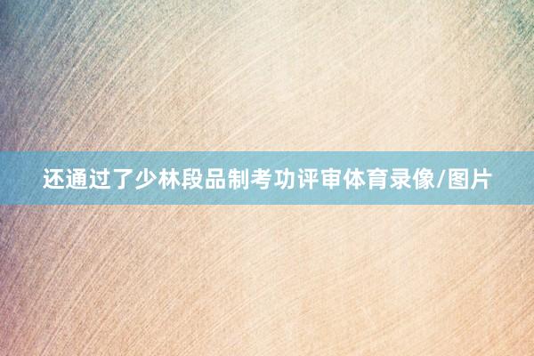 还通过了少林段品制考功评审体育录像/图片