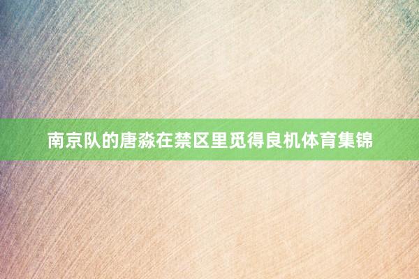 南京队的唐淼在禁区里觅得良机体育集锦