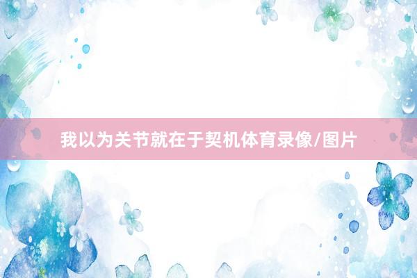 我以为关节就在于契机体育录像/图片
