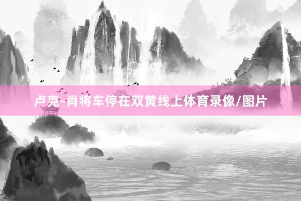 卢克-肖将车停在双黄线上体育录像/图片
