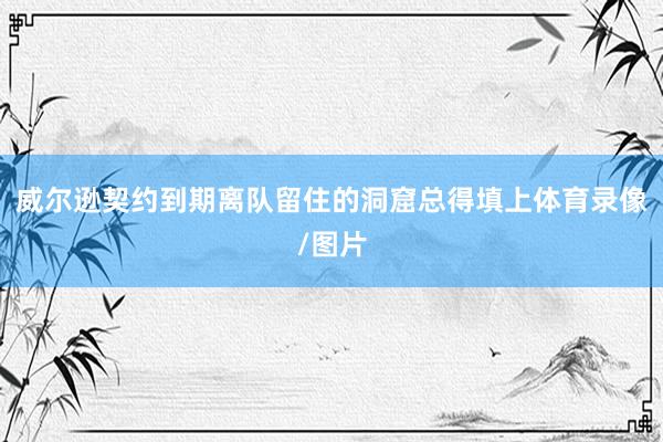 威尔逊契约到期离队留住的洞窟总得填上体育录像/图片