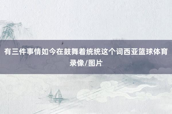 有三件事情如今在鼓舞着统统这个词西亚篮球体育录像/图片