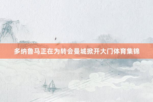 多纳鲁马正在为转会曼城掀开大门体育集锦