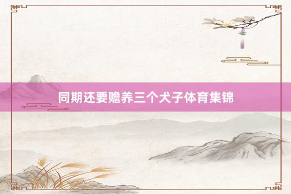 同期还要赡养三个犬子体育集锦