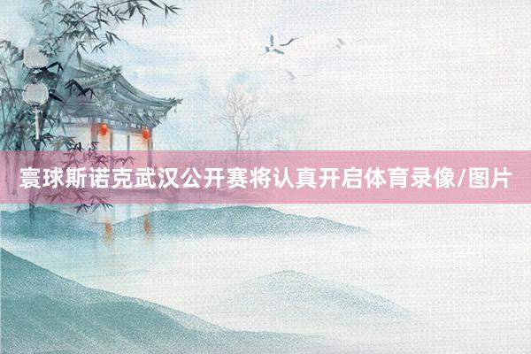 寰球斯诺克武汉公开赛将认真开启体育录像/图片