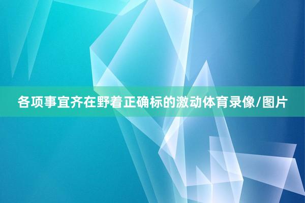 各项事宜齐在野着正确标的激动体育录像/图片