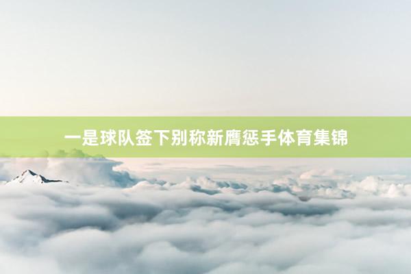 一是球队签下别称新膺惩手体育集锦