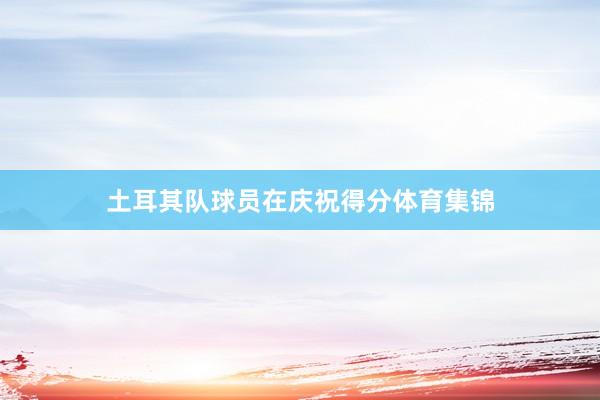 土耳其队球员在庆祝得分体育集锦