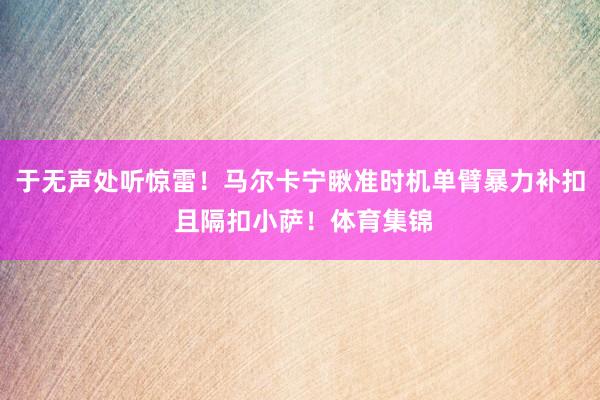 于无声处听惊雷！马尔卡宁瞅准时机单臂暴力补扣 且隔扣小萨！体育集锦