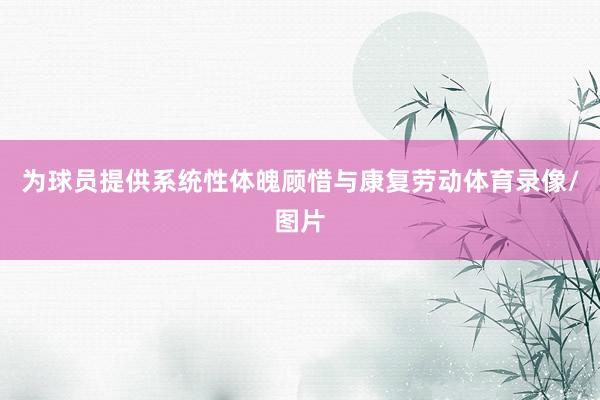 为球员提供系统性体魄顾惜与康复劳动体育录像/图片