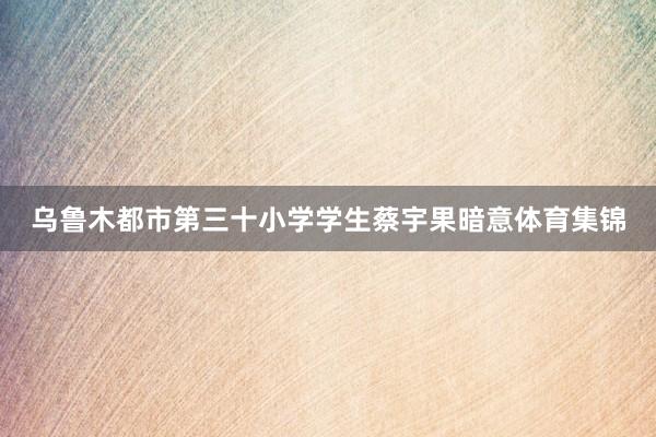 乌鲁木都市第三十小学学生蔡宇果暗意体育集锦