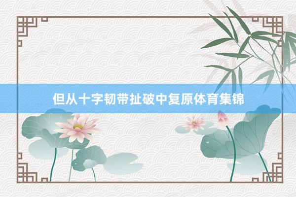 但从十字韧带扯破中复原体育集锦