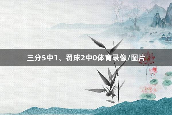 三分5中1、罚球2中0体育录像/图片