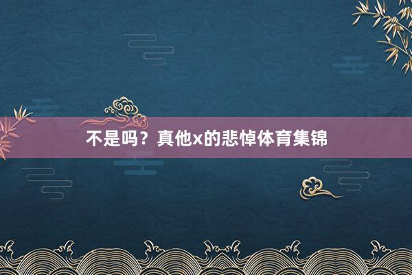 不是吗？真他x的悲悼体育集锦