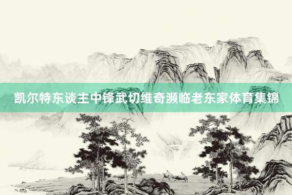 凯尔特东谈主中锋武切维奇濒临老东家体育集锦