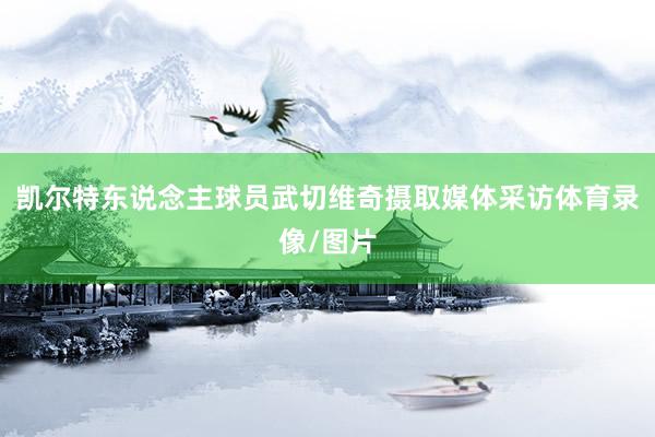 凯尔特东说念主球员武切维奇摄取媒体采访体育录像/图片