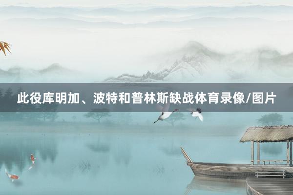 此役库明加、波特和普林斯缺战体育录像/图片