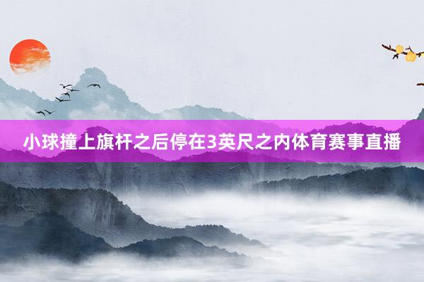 小球撞上旗杆之后停在3英尺之内体育赛事直播