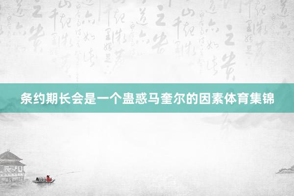 条约期长会是一个蛊惑马奎尔的因素体育集锦