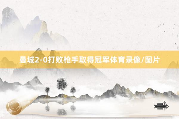 曼城2-0打败枪手取得冠军体育录像/图片