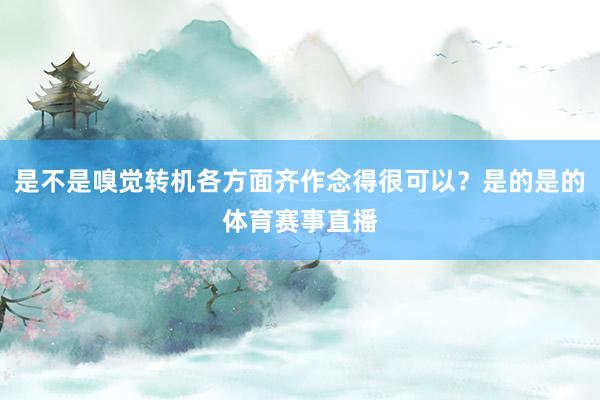 是不是嗅觉转机各方面齐作念得很可以？是的是的体育赛事直播