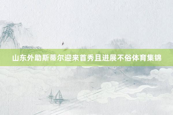 山东外助斯蒂尔迎来首秀且进展不俗体育集锦