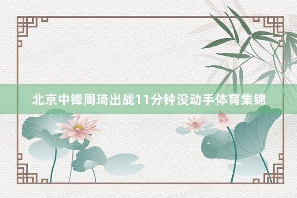北京中锋周琦出战11分钟没动手体育集锦