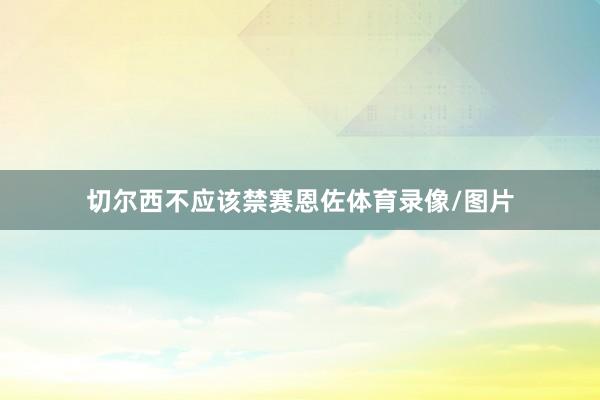 切尔西不应该禁赛恩佐体育录像/图片