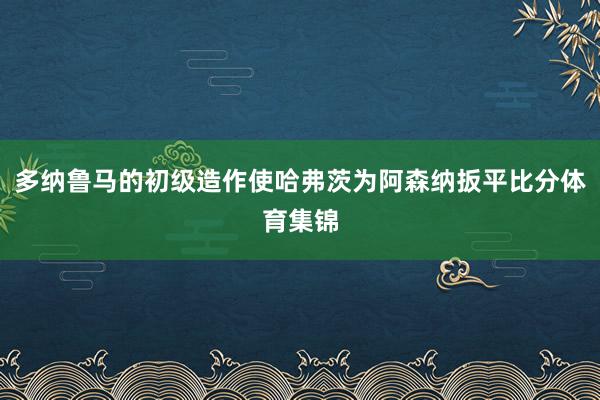 多纳鲁马的初级造作使哈弗茨为阿森纳扳平比分体育集锦