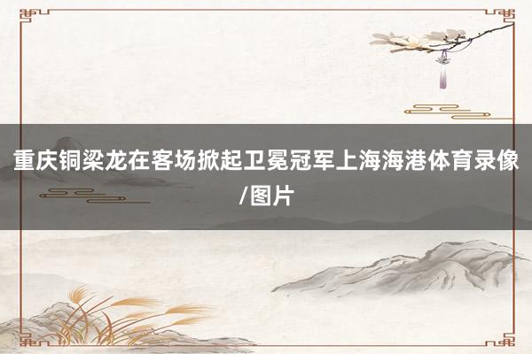重庆铜梁龙在客场掀起卫冕冠军上海海港体育录像/图片